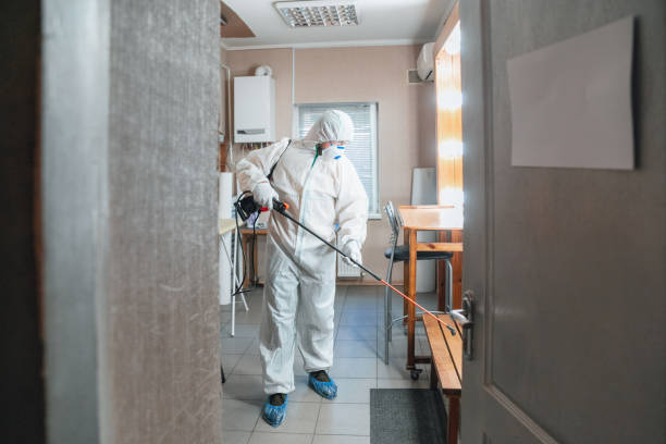 Best Mold Odor Removal Services  in Wendover, UT