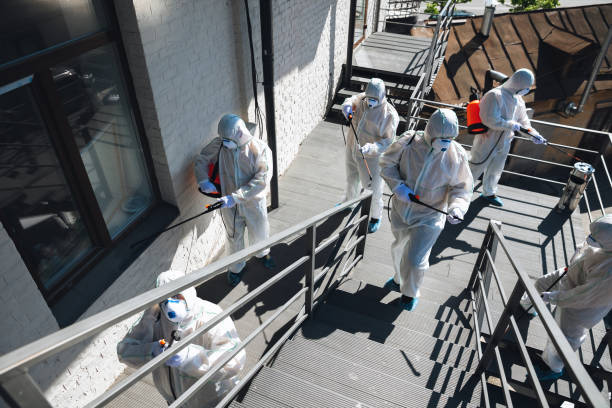 Best Real Estate Mold Inspection  in Wendover, UT