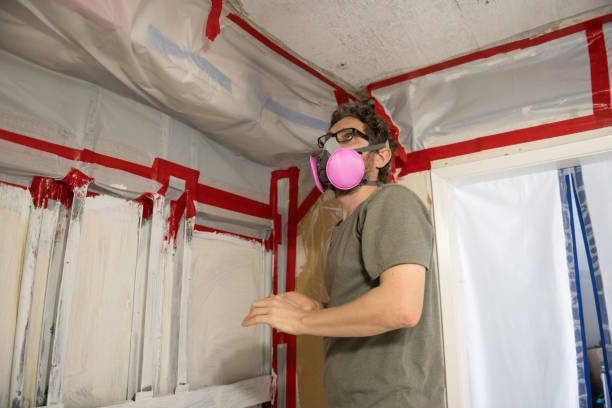 Best HVAC Mold Inspection and Cleaning  in Wendover, UT