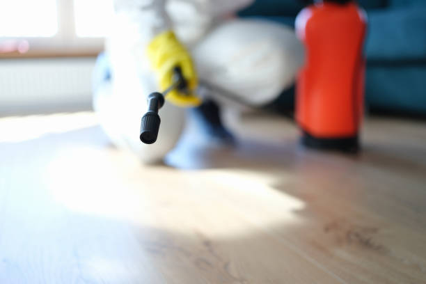 Mold Documentation for Insurance Claims in Wendover, UT