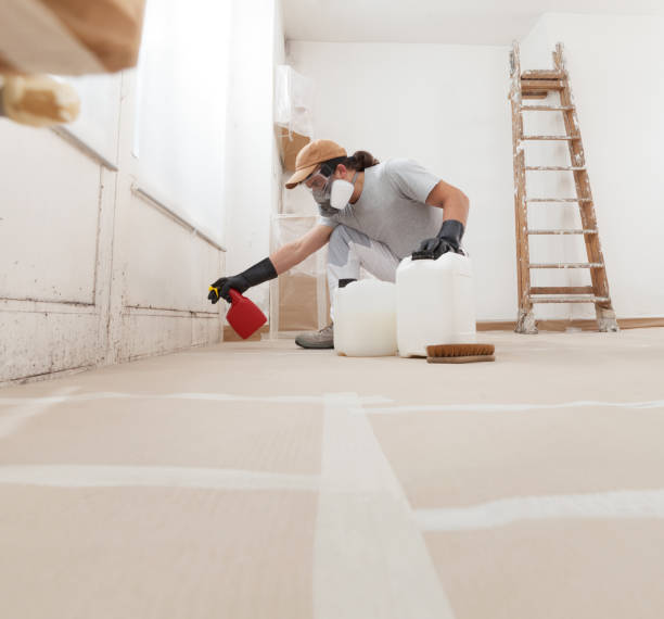 Best Forensic Mold Investigation  in Wendover, UT